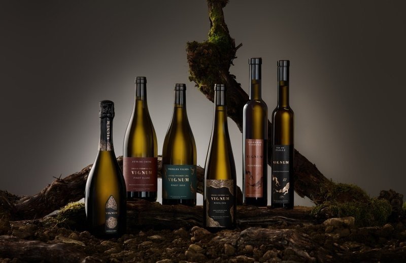 Exclusieve wijnproeverij op de camping